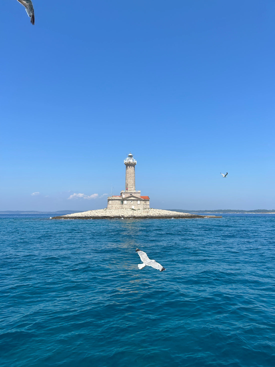 The white Porer lighthouse on its small rocky islet off the tip of the Kamenjak peninsula in Croatia, surrounded by deep blue Adriatic sea under a clear sky, with a seagull flying low over the water.